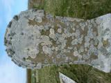 image of grave number 778591